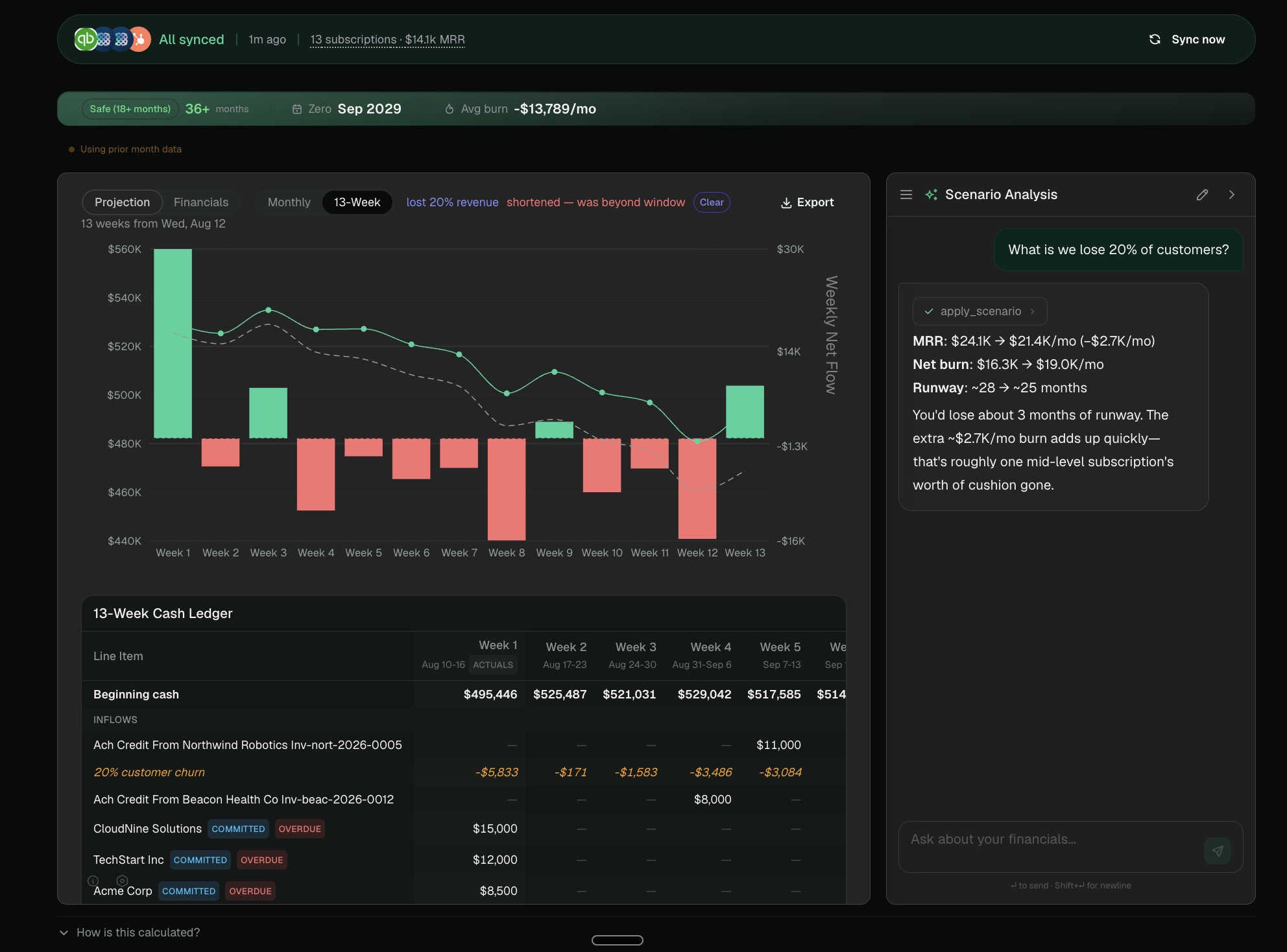 Zensus 13-week cash flow view and budget breakdown